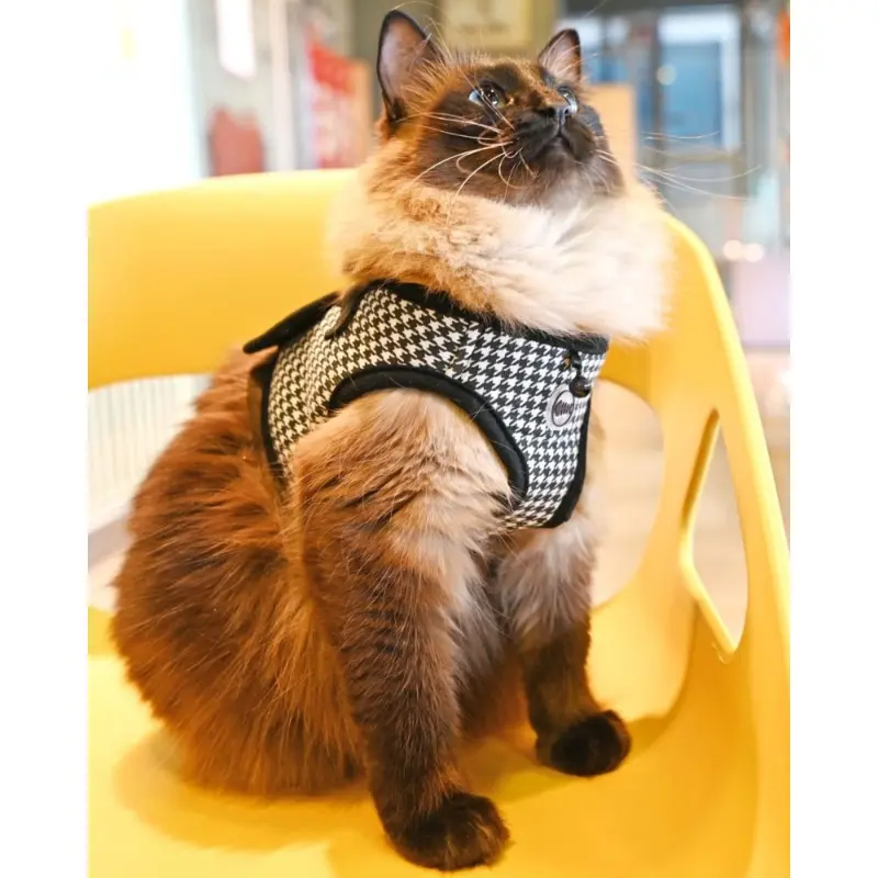 Houndstooth Step-In Cat Harness (FINAL SALE)