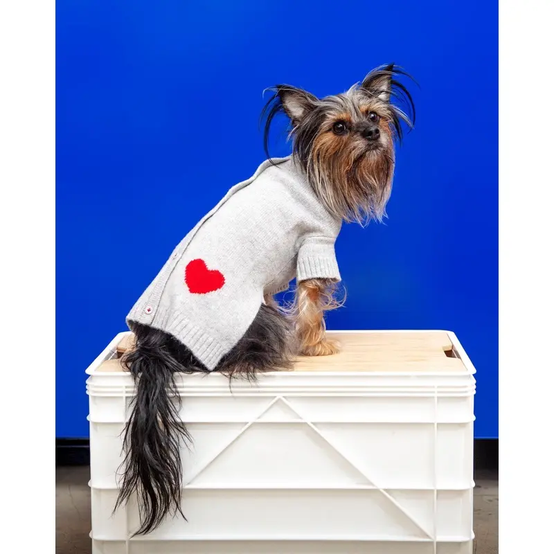 Heart Merino Wool Dog Cardigan Sweater in Grey (FINAL SALE)