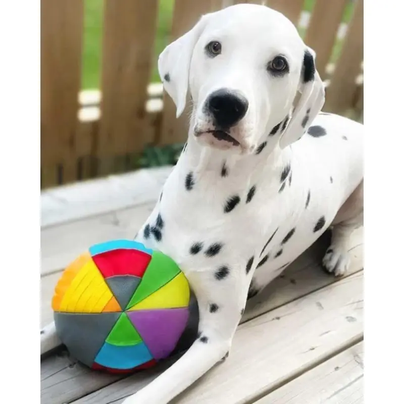 Hide N' Seek Disk Dog Toy