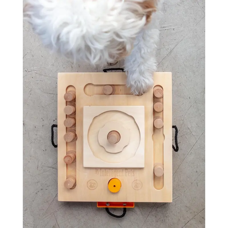 Turtle Interactive Dog Treat Puzzle Toy