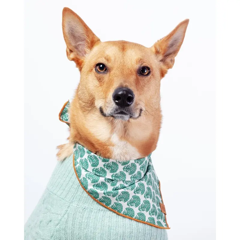 Verde Dog Bandana (FINAL SALE)