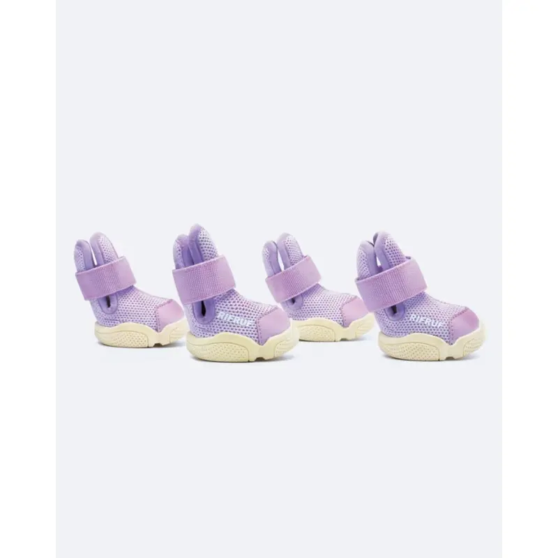 Caesar Dog Sneakers in Taro