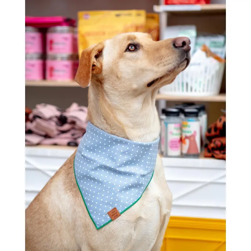 Chambray Dots Dog Bandana