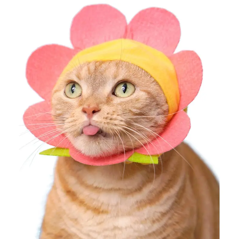 Flower Cap for Cats (Surprise Box)