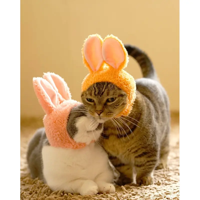 Rabbit Cap for Cats (Surprise Box)