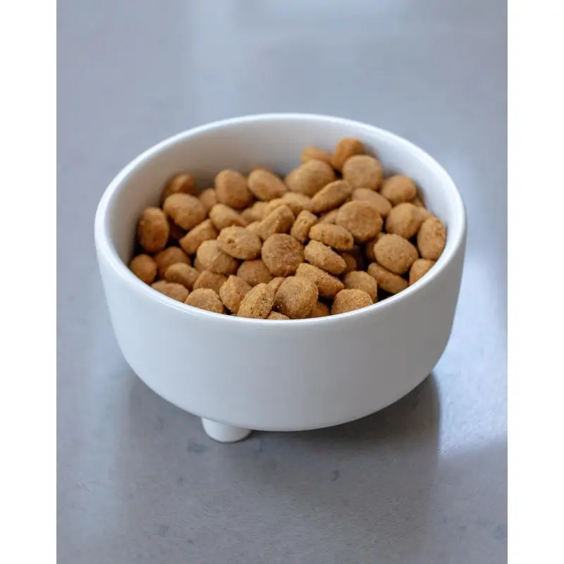 Uplift Ceramic Dog Bowl in White (FINAL SALE)