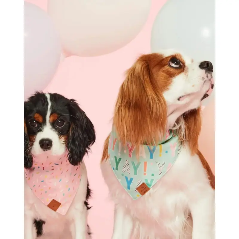 Yay Reversible Birthday Dog Bandana
