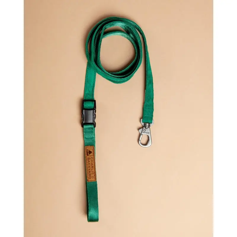 Adjustable Easy Dog Leash in Green
