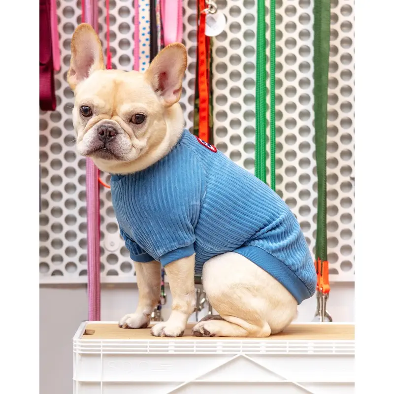 Amber Dog Tee in Sky Blue (FINAL SALE)