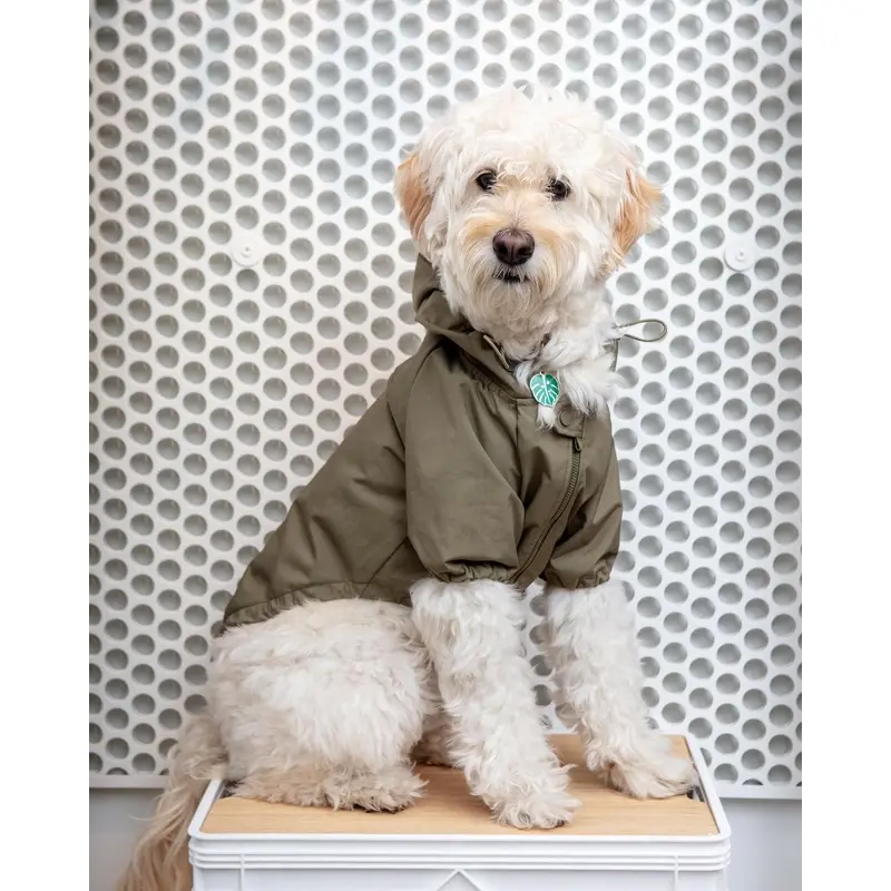 Brooklyn Nylon Water Resistant Dog Jacket (FINAL SALE)