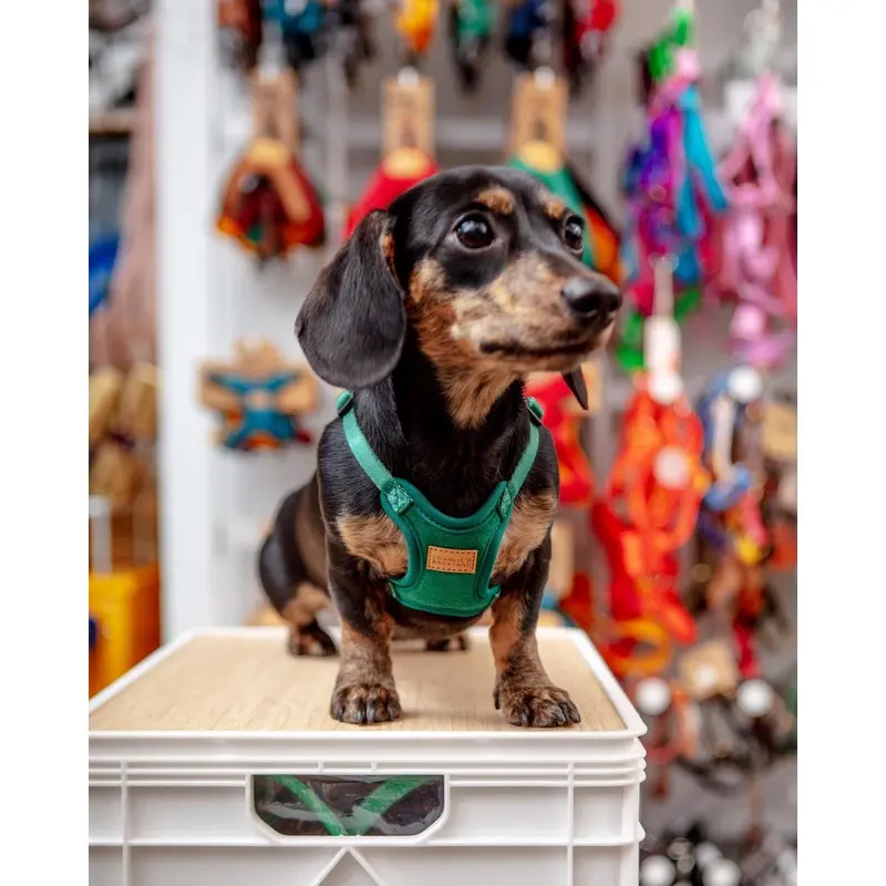 Comfort Dog Harness in Green