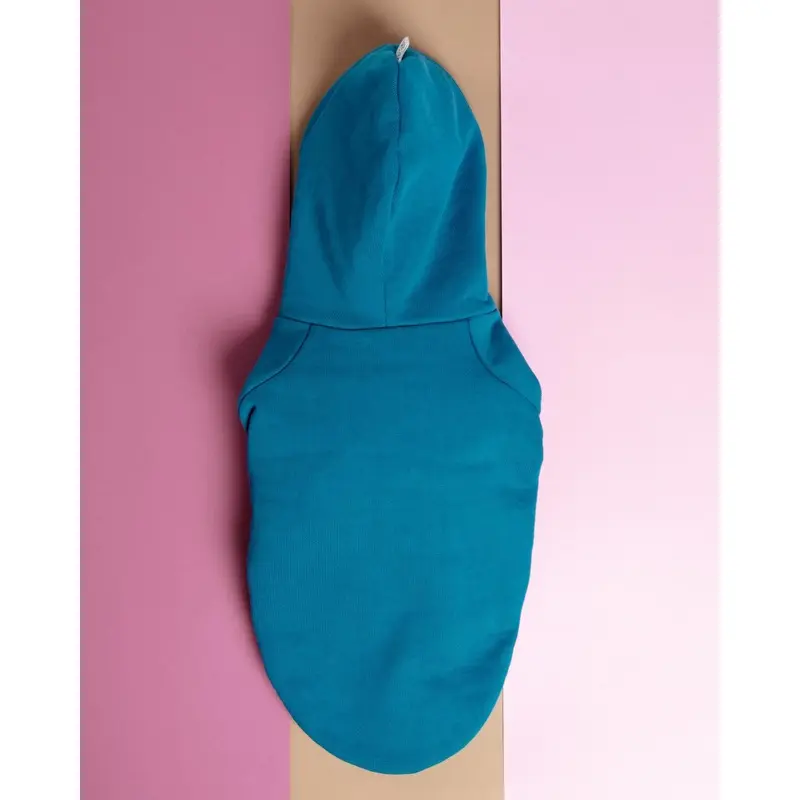 Dog Hoodie in Teal (CLEARANCE)