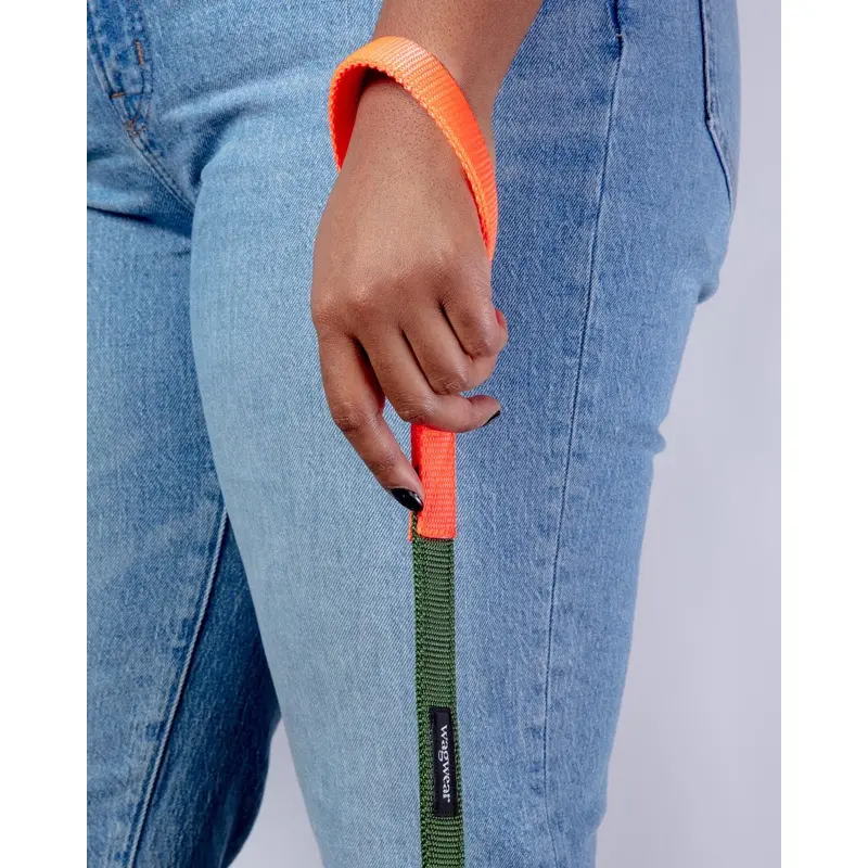 Nylon Dog Leash in Olive & Neon Orange (Made in the USA)