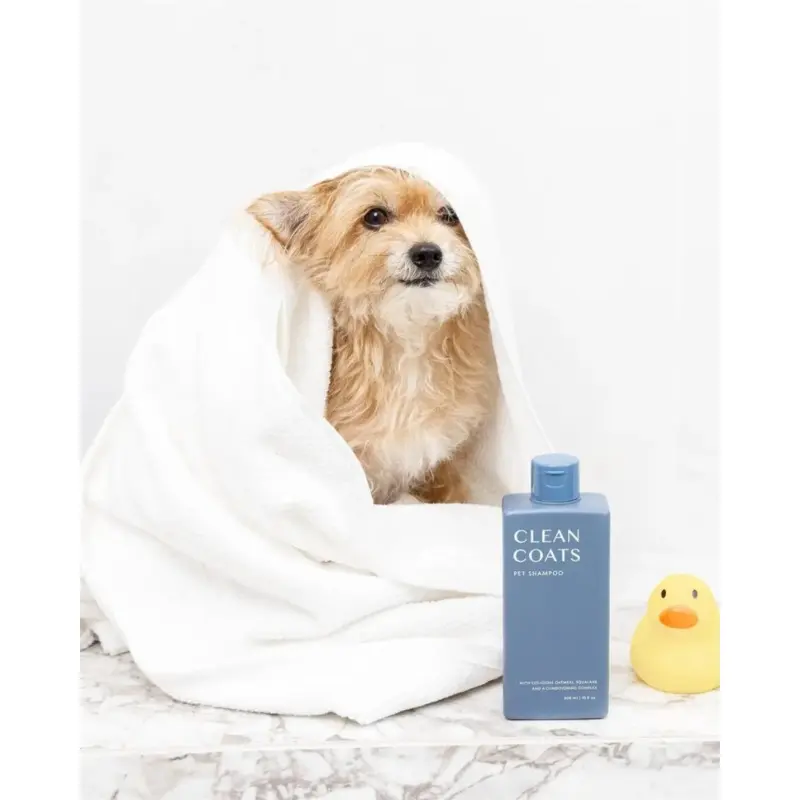 Sensitive Dog Shampoo (Fragrance Free) (FINAL SALE)