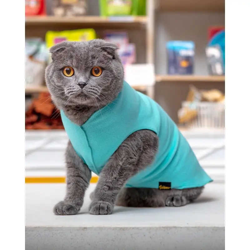 Stretch Fleece Pullover in Turquoise