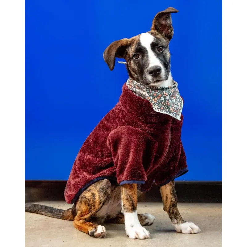 Zippy Dog Fleece in Burgundy (FINAL SALE)