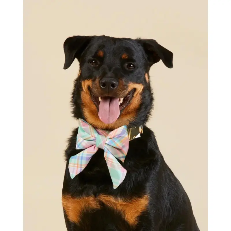 Blooming Plaid Lady Dog Bow (FINAL SALE)