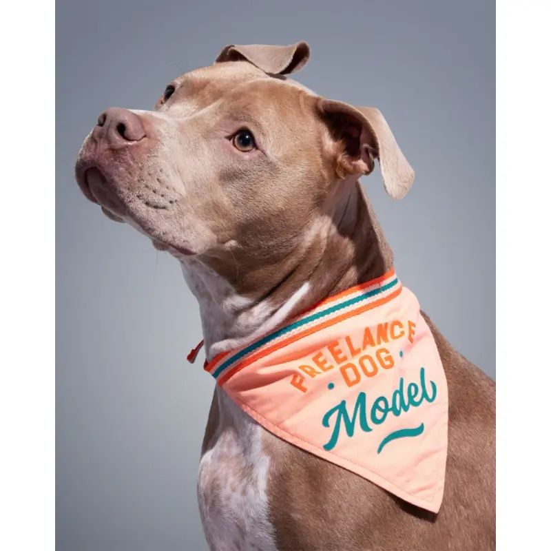 Freelance Dog Model Bandana (FINAL SALE)