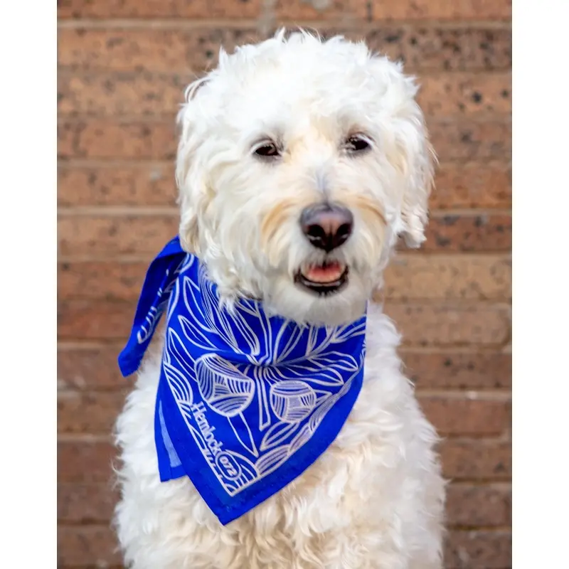 Nyla Bandana for Human & Dog (22"x22")