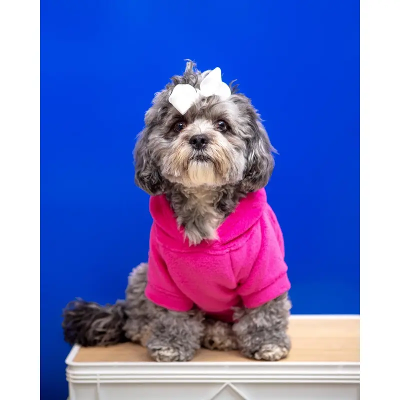 Plush Dog Hoodie in Fuschia (Made in the USA) (FINAL SALE)