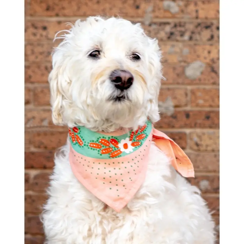 Snakes Bandana for Human & Dog (22"x22") (FINAL SALE)