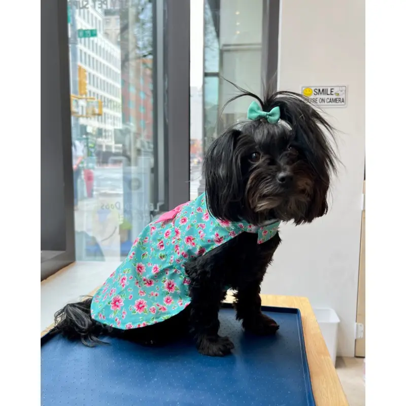 Watercolor Floral Dog Dress (FINAL SALE)