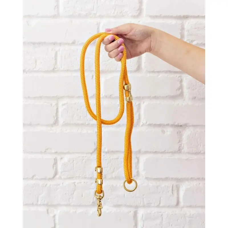 Goldenrod Rope Dog Leash (Made in the USA) (FINAL SALE)