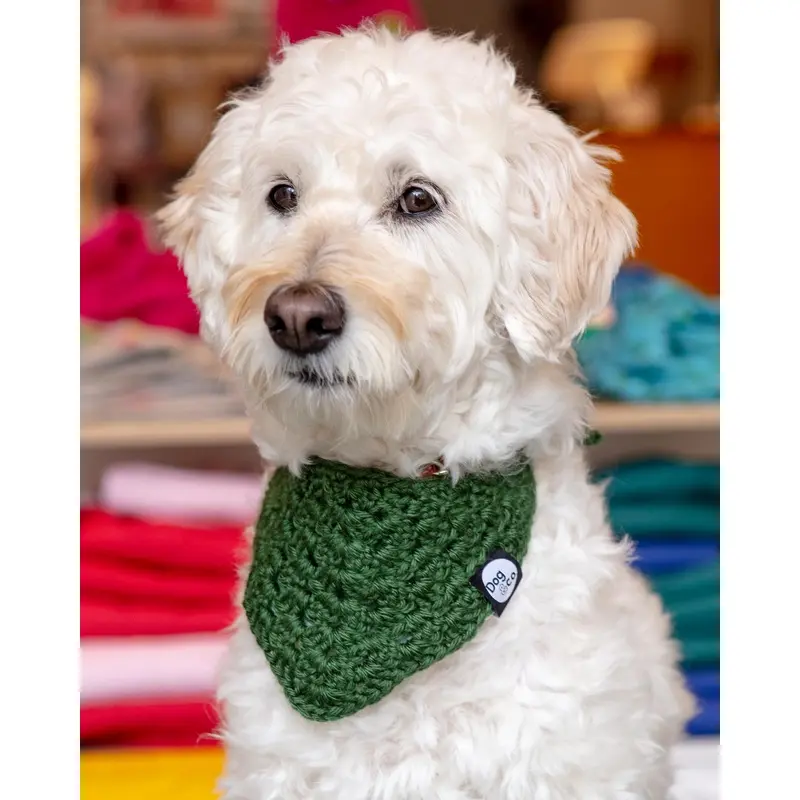 Hand-Crochet Dog Bandana (Made in the USA)