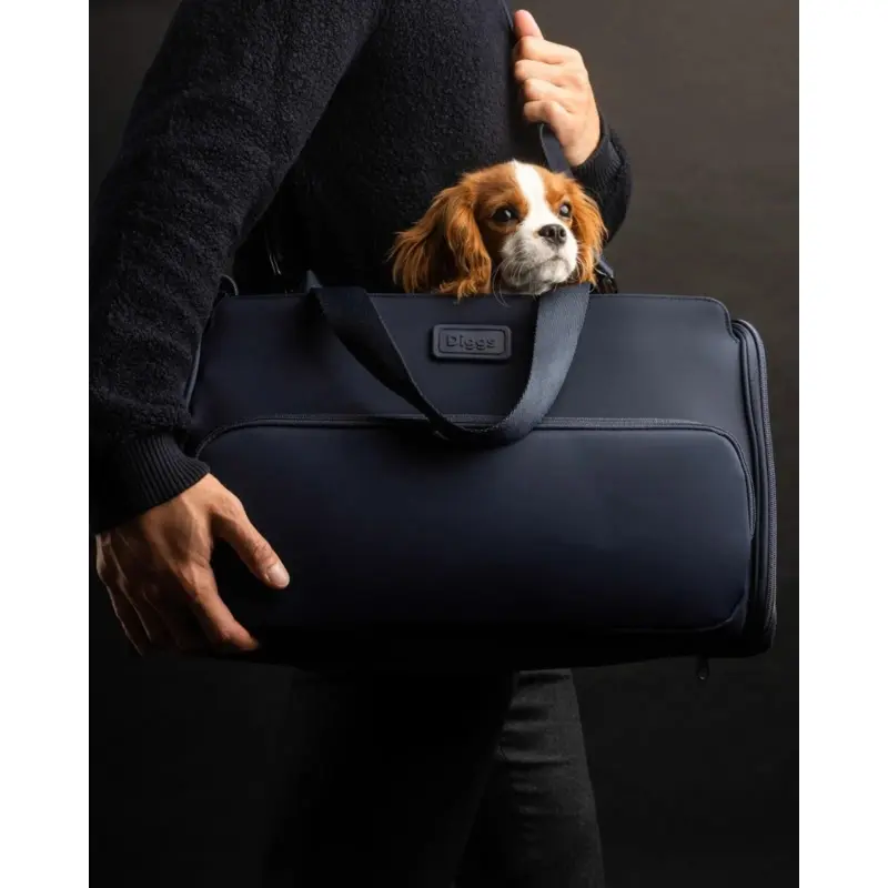 Passenger Travel Pet Carrier (Airline-Friendly)