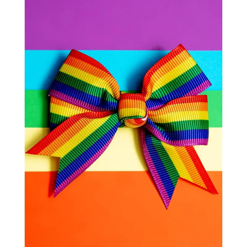 Rainbow Pet Hair Clip (Single) (FINAL SALE)