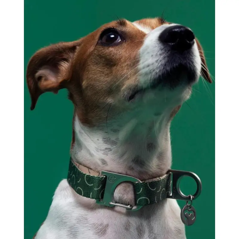 Sabine Vegan Dog Collar (FINAL SALE)