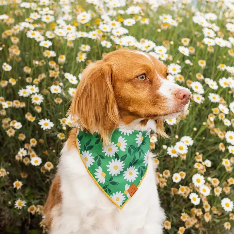 Coming Up Daisies Dog Bandana (Made in the USA)