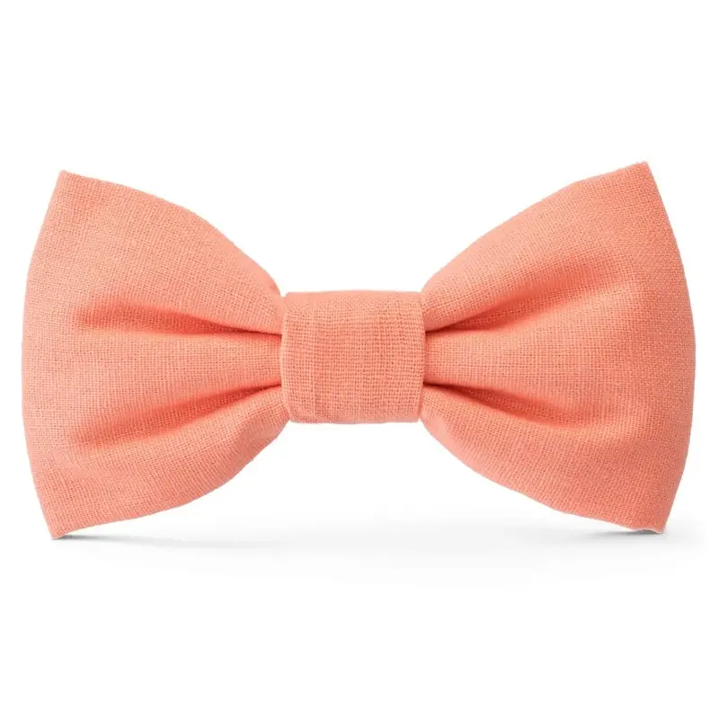 Mango Bright Dog Bow Tie (Made in the USA) (CLEARANCE)