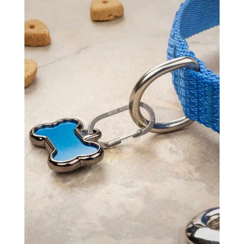MicroLink Pet Tag Carabiner (2-Pack)