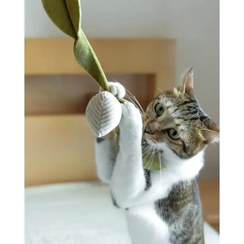 Radish Catnip Toy