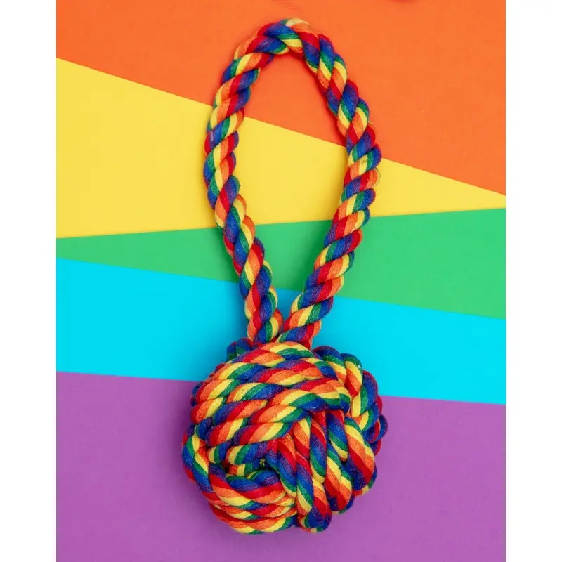 Rainbow Celtic Knot Rope Dog Toy