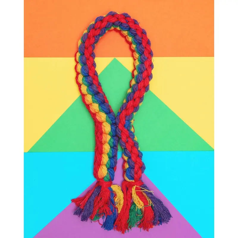 Rainbow Rope Dog Toy
