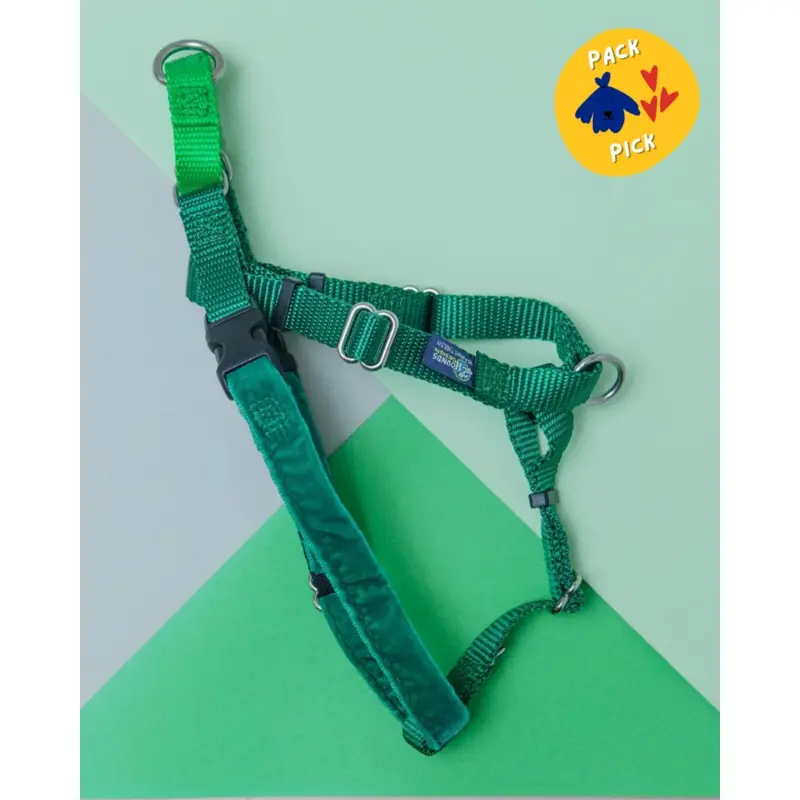 Freedom No-Pull Harness in Kelly Green (Made in the USA) (FINAL SALE)