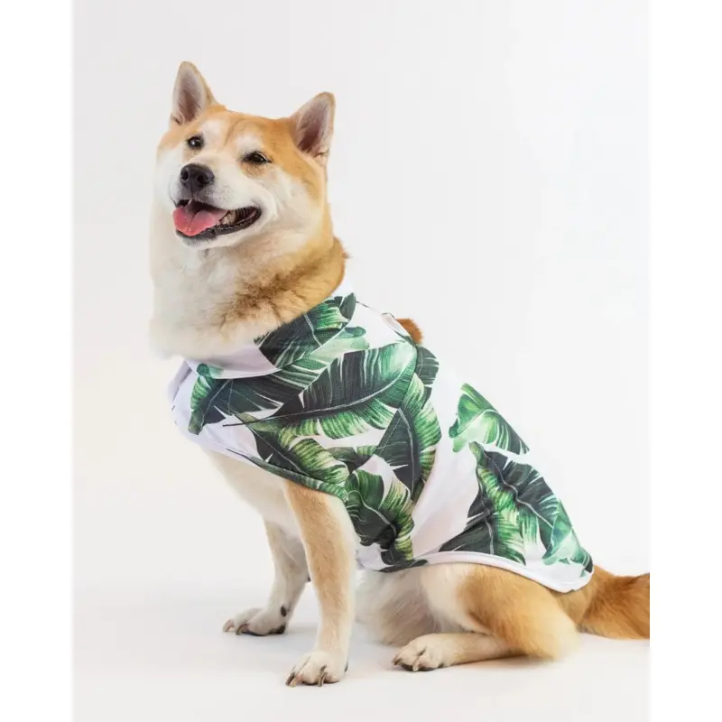 Marseille Dog Cooling Jacket (FINAL SALE)