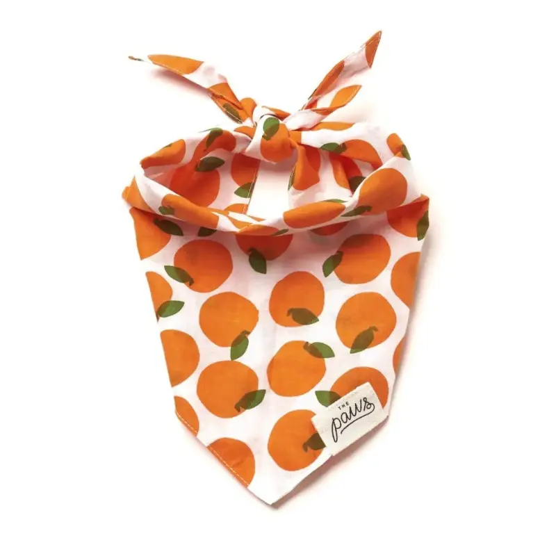Orange You Pretty Dog Bandana (FINAL SALE)