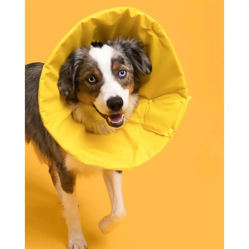 Premium Soft Pet Recovery Cone (Made in the USA) (FINAL SALE)