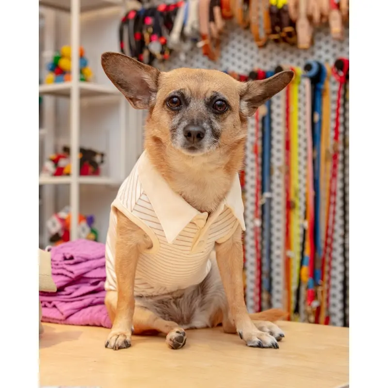 Striped Sleeveless Collared Shirt for Dogs
