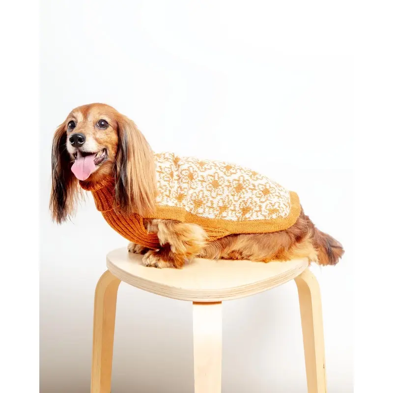 Buttercup Alpaca Dog Sweater (FINAL SALE)