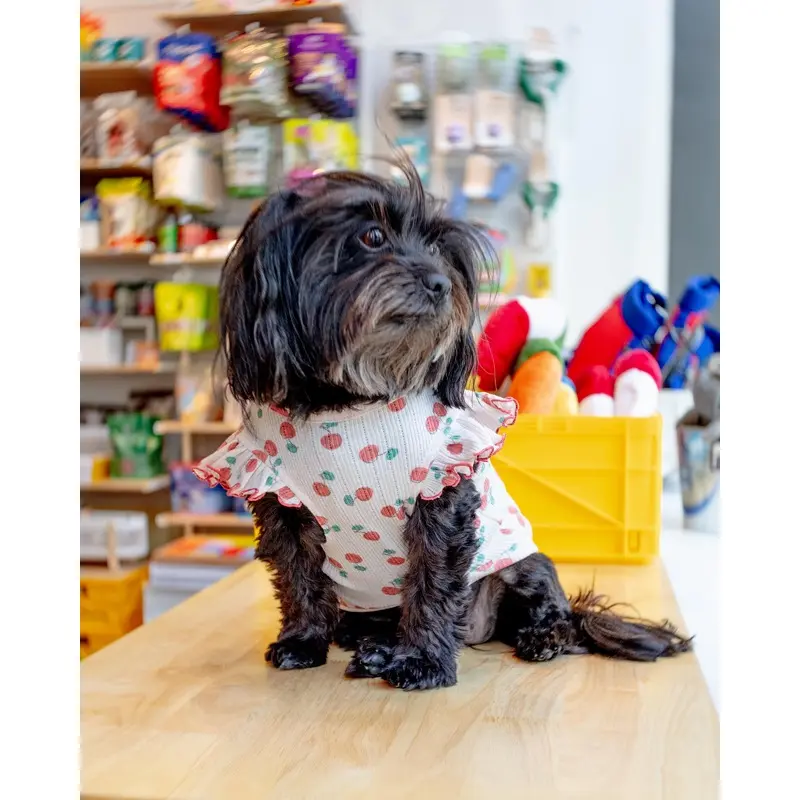 Cool Cherry Shoulder Frill Dog Shirt (FINAL SALE)