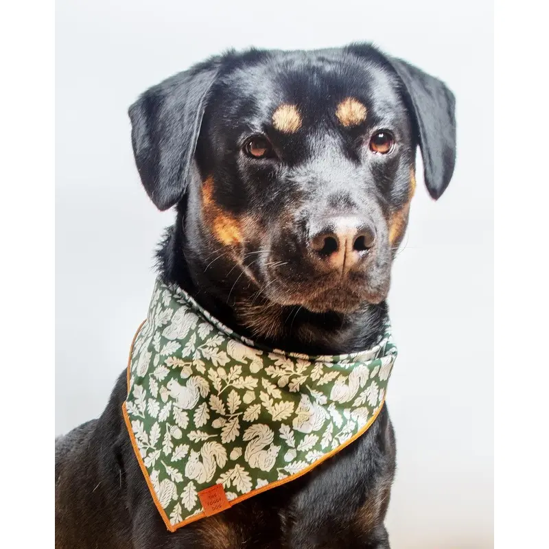 Fall Squirrel Dog Bandana (Made in the USA)