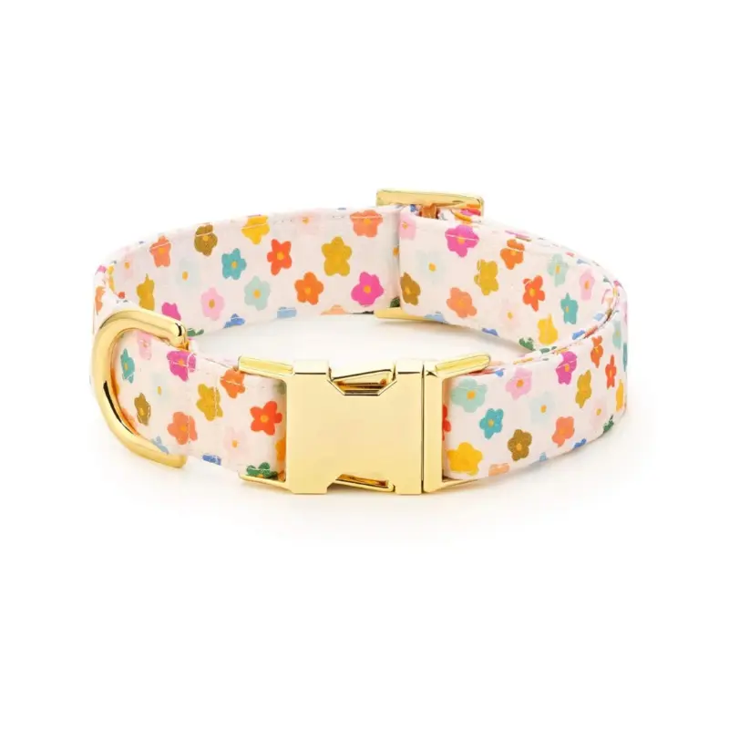 Rainbow Flower Dog Collar (Made in the USA) (FINAL SALE)