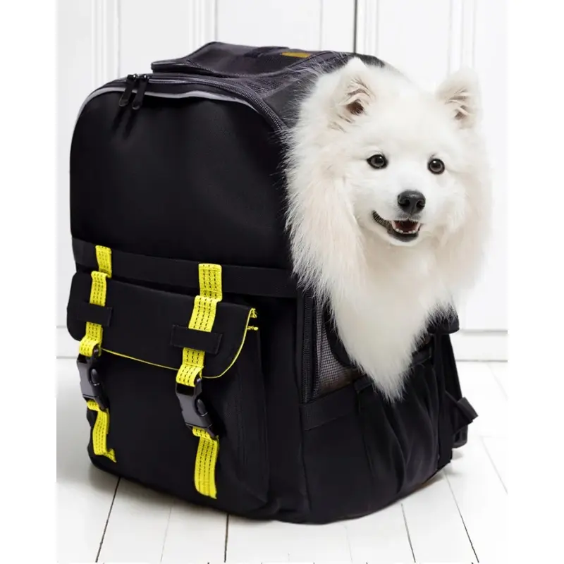 Ready-For-Adventure Pet Backpack in Black (Airline Compliant)