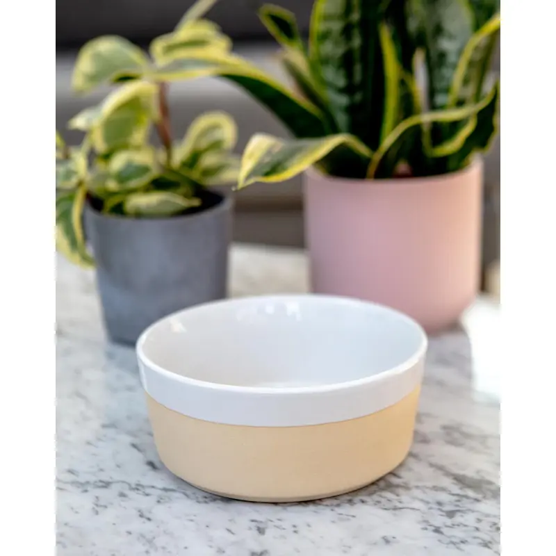 Textured Dipper Ceramic Dog Bowl in White (FINAL SALE)