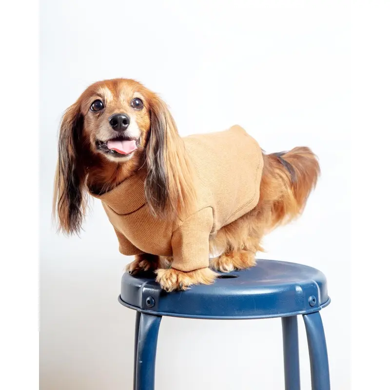 Toffee Organic Pima Cotton Dog Shirt (FINAL SALE)