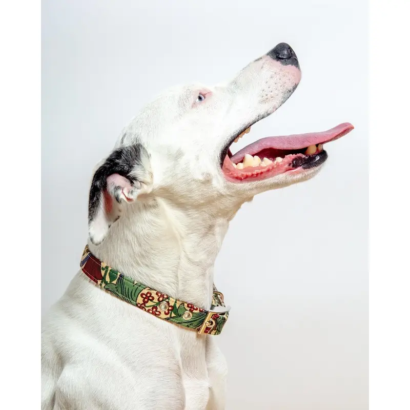 William Morris Golden Lily Dog Collar